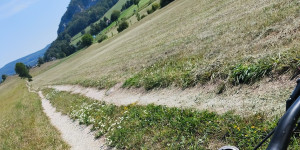 Beitragsbild des Blogbeitrags 12.8.24 - Groisbach