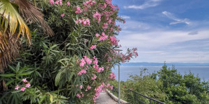 Beitragsbild des Blogbeitrags Župa Mošćenice Primorje-Gorski Kotar Kroatien Istrien. Roadtrip in Europa. Reisen mit dem Auto innerhalb der EU. Citytrips, Camping, Landschaft, Rundfahrt mit dem PKW, romantische Städte und Urlaubsinspiration